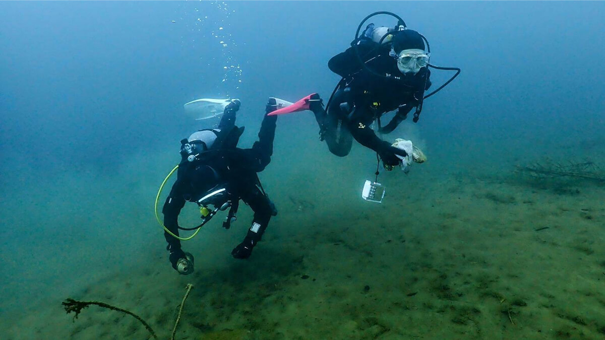 アクティビティ2